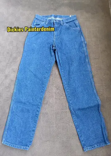 Dickies Painterpants