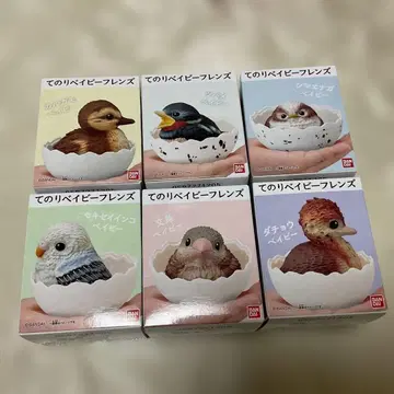 테노리 베이비 프렌즈 선물 포장 있음 컴플리트