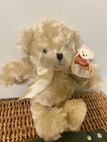 [ 드리밍 베어스 봉제 인형 M 사이즈 베이지 ]