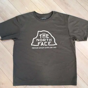 THE NORTH FACE 브라운 T셔츠 XL