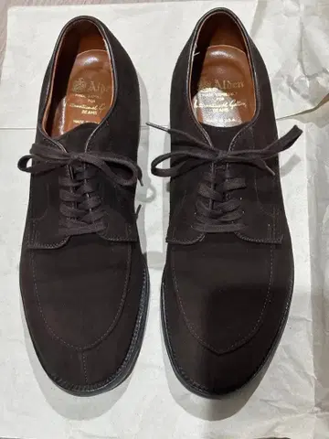 ALDEN V-TIP 다크 브라운 스웨이드