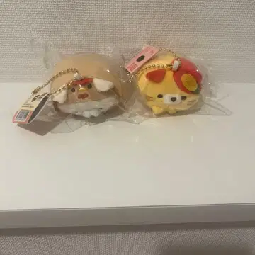 모찌후와 코로코로냥코 미야자키 한정판 지토코냥 푸치 푸치망고냥