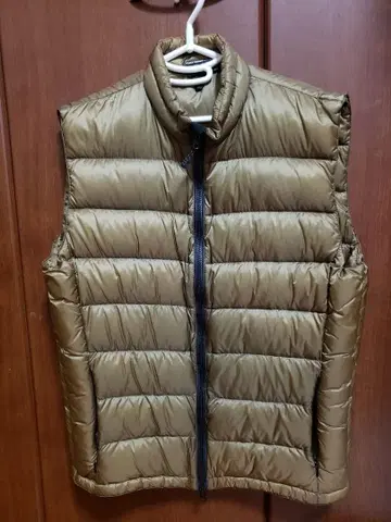 feathered frinds 페더드 프렌즈 데이브레이크 베스트