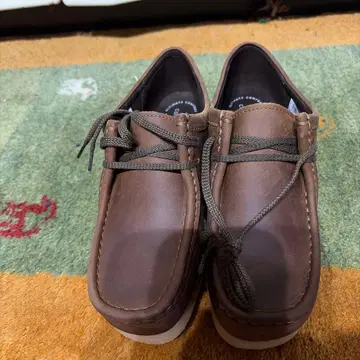 클락스 왈라비 24cm