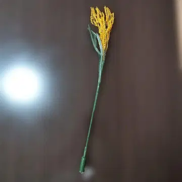 렉시 빛나는 벼이삭