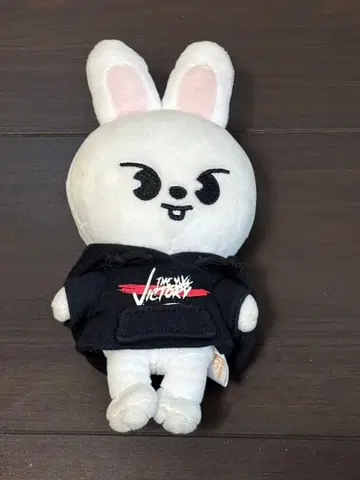 straykids 리노 리비트 부채