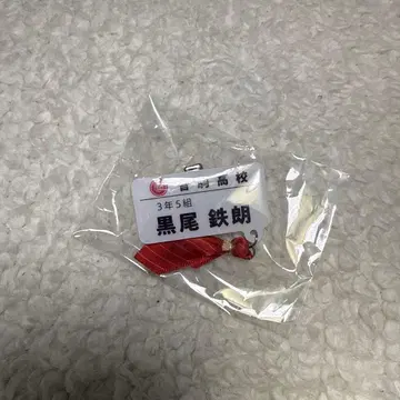 하이큐!! 참 포함 네임 배지 컬렉션 쿠로오 테츠로