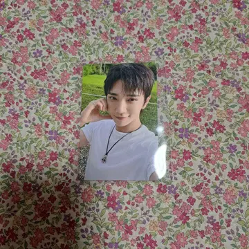 SEVENTEEN 조슈아 FC 갱신 특전 트레이딩 카드