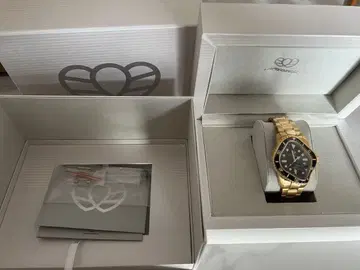 LAARVEE PEA001 자동 와인딩 손목시계