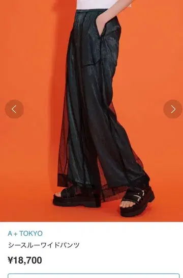 A+TOKYO 에이플러스도쿄 시스루 와이드 팬츠