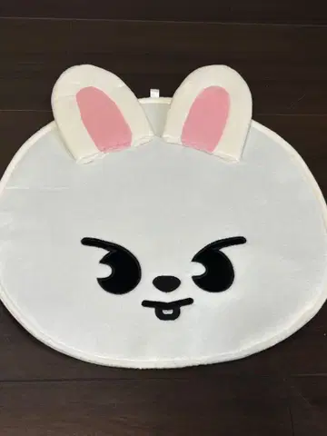 straykids 리노 부채 케이스