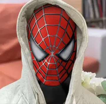 타임세일 스파이더맨 마스크