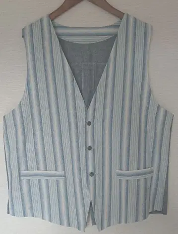 파랑과 화이트 스트라이프 남성용 베스트