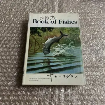 사카낙션 어도감 (초회 생산 한정판[2CD+어도감+DVD])