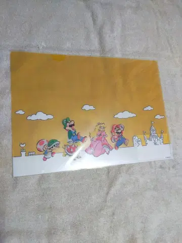 닌텐도 스토어 클리어 파일 슈퍼 마리오 패밀리 라이프 A