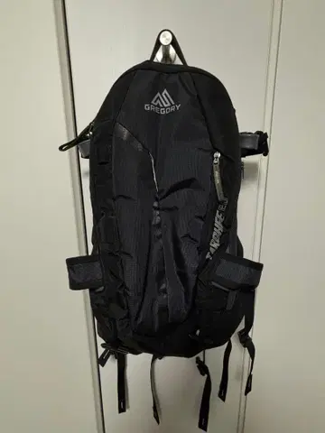 GREGORY TARGHEE 26 블랙 백팩 터기