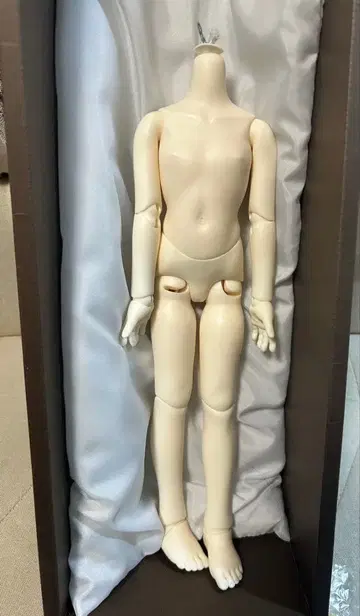 보크스 SDM 여아 바디 PS 화이트 2025년 11월 수령