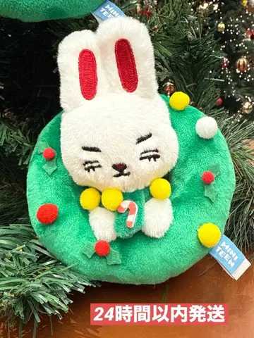 MINITEEN 홀리데이 에디션 오너먼트 키링 체리 체리