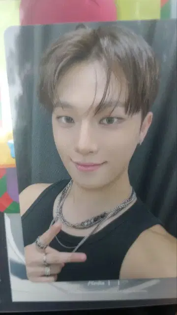 SEVENTEEN 디노 FC 갱신 혜택