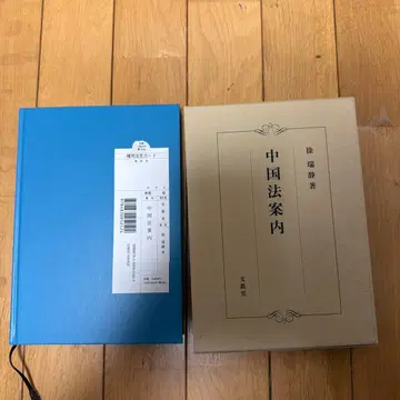 중국 법률 안내 서서정 저