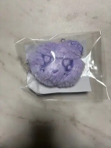 SEVENTEEN 봉봉이 후쿠오카 민트 키링 New_