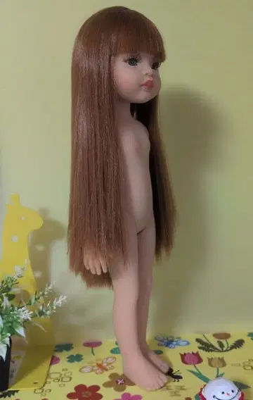 파올라돌 파올라레이나 본체만