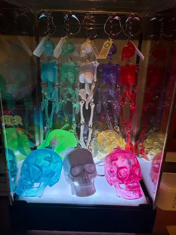 사이언스 테크니컬러 스켈레톤 스켈레톤 컬러 [전 10종 (풀컴프)]