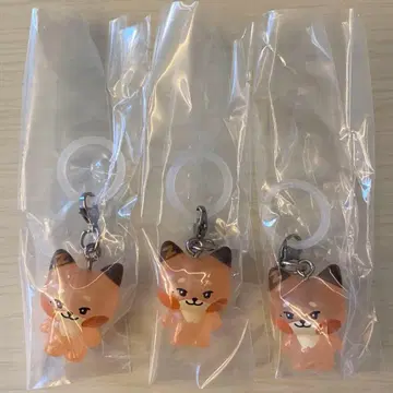 zeroni 제로니 메지루시 액세서리 튀니니 thewnini