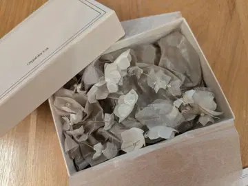 올가브랑카 꽃 모티브 클립형 귀찌