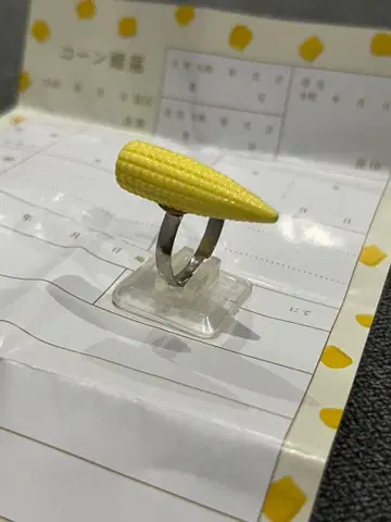 콘 약 반지 영콘