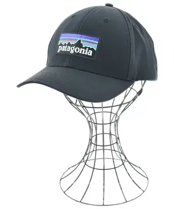 patagonia 남성용 캡
