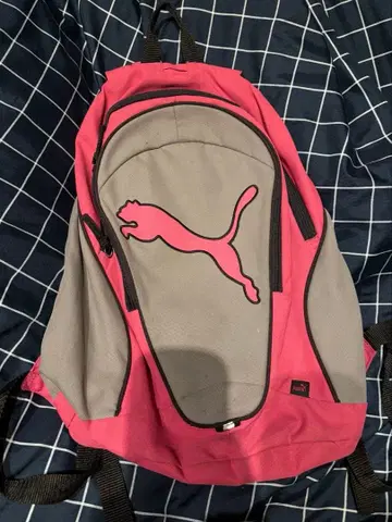 Puma 핑크 그레이 백팩