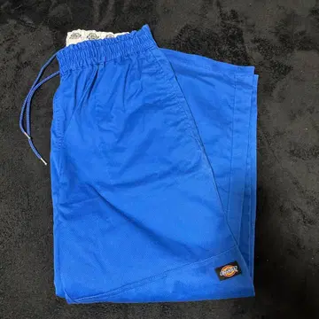 Dickies 팬츠