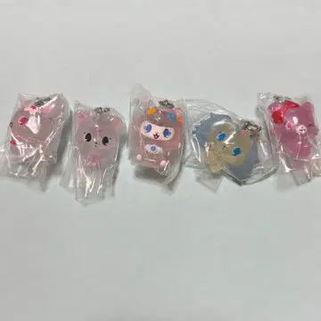 주얼펫 메지루시 액세서리 컴프세트