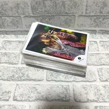 후지이 류세이 공식 사진 & 포토 세트 묶음 판매