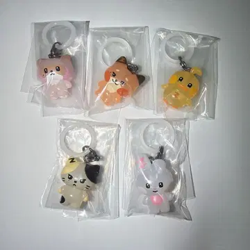 ZEROBASEONE zeroni 메지루시 액세서리 5종 세트