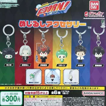 가정교사 히트맨 리본 메지루시 액세서리 전 6종 컴플리트