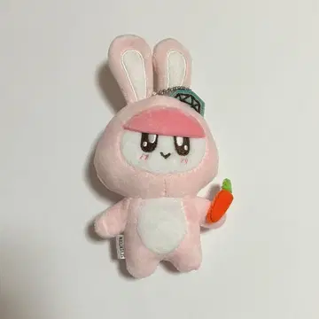 seventeen 모자 꽁지 토끼