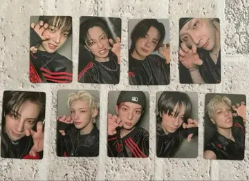 &team 쇼케 트레이딩 카드 전원 컴플리트