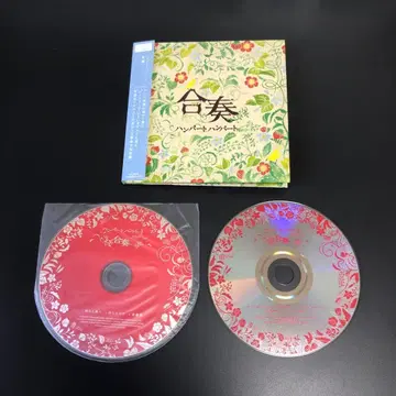 험버트험버트 합주 단종 오비 포함 CD DVD 사노 유호 사토 요시나리
