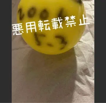 시부야 스바루 사인