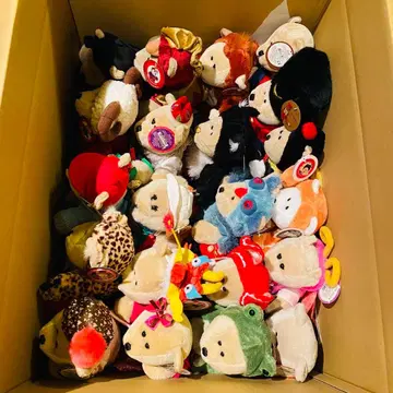 스벅 베어리스타 21개 봉제 인형 묶음 판매