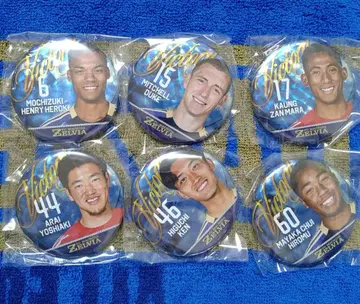 젤 가챠 캔뱃지