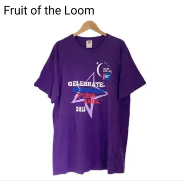 프룻 오브 더 룸 반팔 아메카지 퍼플 남성용 둥근넥 T셔츠 XL