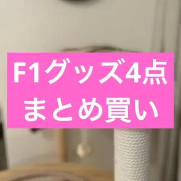 F1 굿즈 묶음 구매