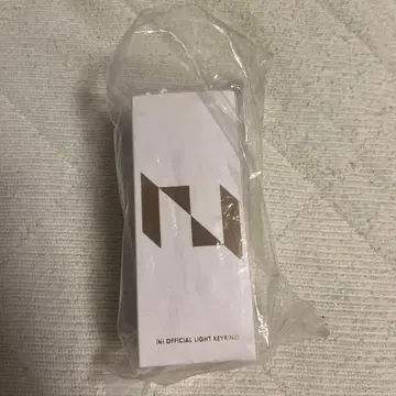 INI OFFICIAL LIGHT KEYRING