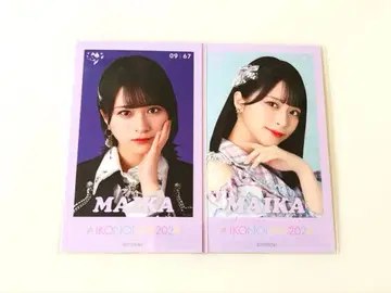 이코러브 사사키 마이카 미니 포토카드 이코노이조이 2024 컴프 절아이