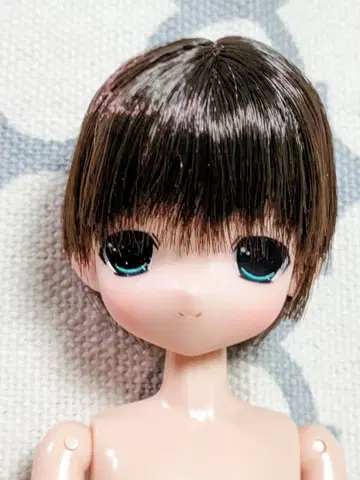 마마차프 토이 / 오토메 이오리 / 모코짱 시리즈