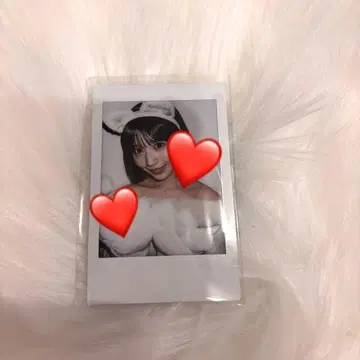 온 특 폴라로이드 시로이시 마유미