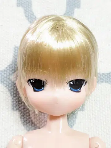 마마차프 토이 / 소월 로 / 모코짱 시리즈